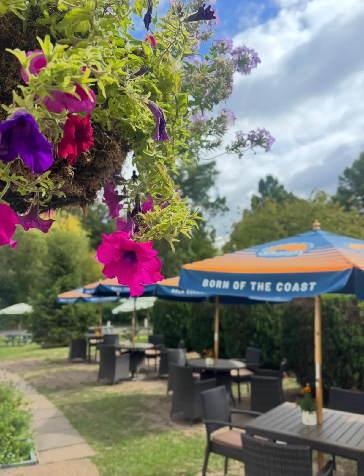 The Queens Head garden, with tables under parasols and a hanging basket in bloom